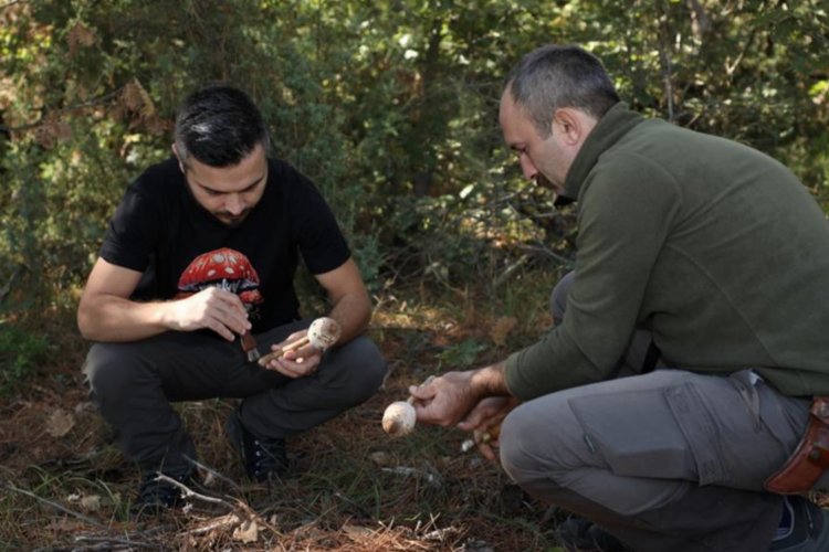 Mantar avcıları Bursa İnegöl’de buluştu
