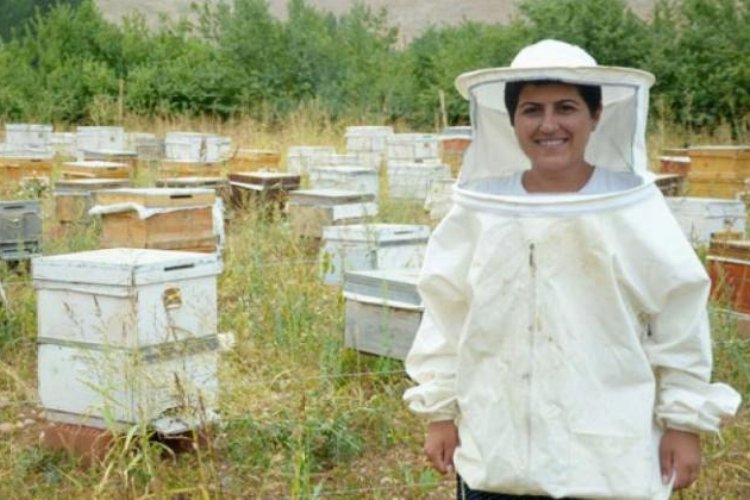 Ankara Gölbaşı’nda arıcılık kursu başlıyor
