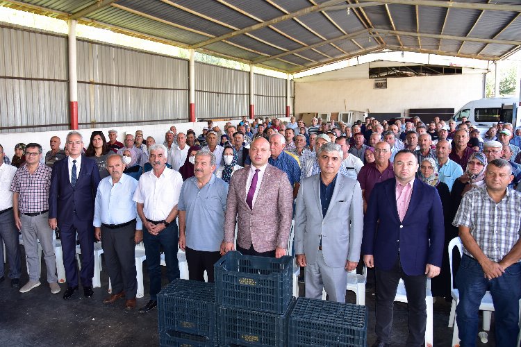 Manisa Soma’da üreticiye zeytin kasası desteği