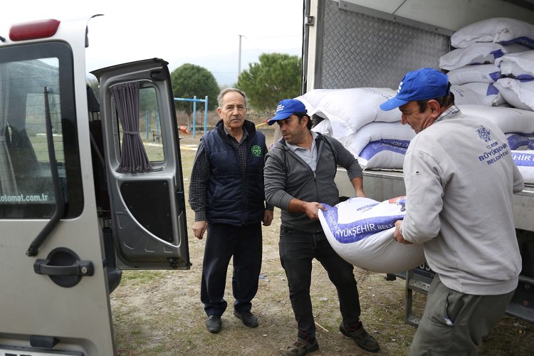 Aydın Büyükşehir’den yem desteği