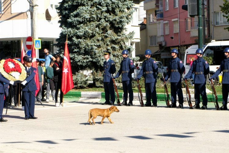 Bursa Yenişehir’de gülümseten anlar