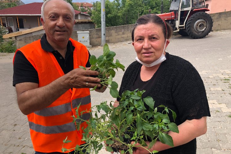 Edirne’de Süloğlu Belediyesi 5 bin sebze fidesi dağıttı