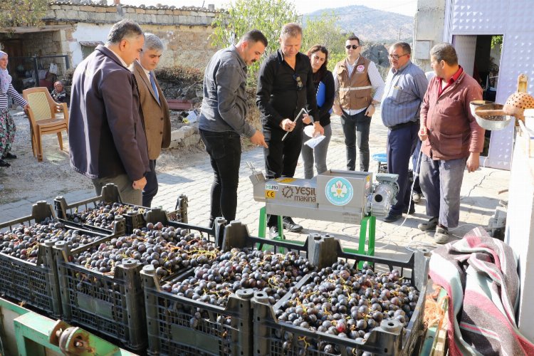 Manisa’da üzümün tadı farklı olacak