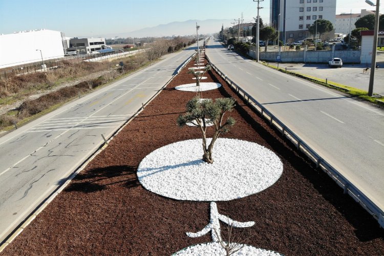 Manisa’da susuz peyzajlar kaynakları koruyor