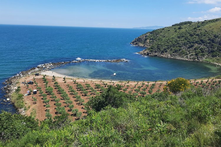 Bursa Mudanya’da ‘Rota Myrleia’ için ilk keşif yapıldı