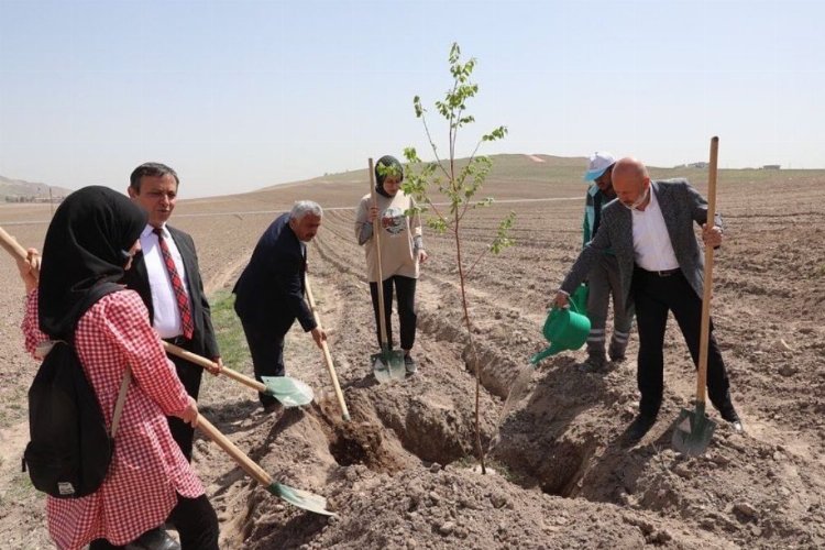 Kayseri Kocasinan ‘Vuslat Ormanı’ ile nefes alacak