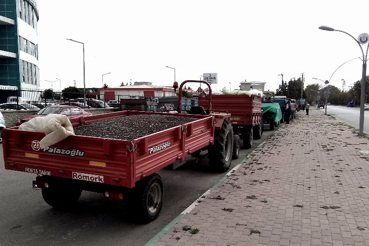 Bursa Yenişehir’de ‘yağlı ayçekirdeği’ için kuyruklar oluştu