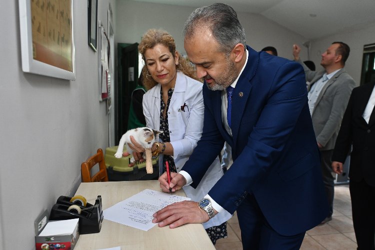 Bursa’da Başkan Aktaş, yavru kediyi sahiplendi