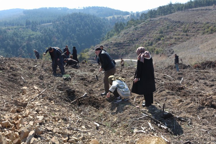Bursa Yıldırım’da Saadet’ten Erbakan adına ‘hatıra ormanı’