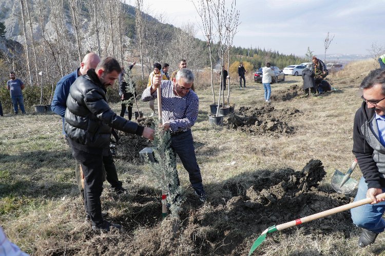 Kütahya Belediyesi’nden ağaçlandırma etkinliği