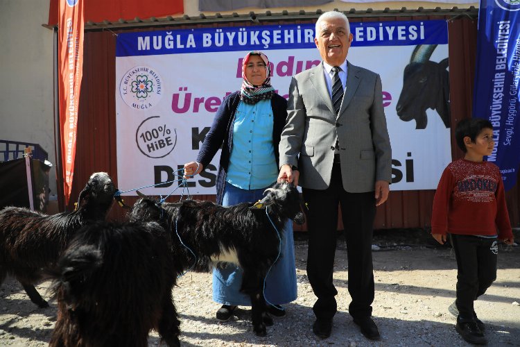Muğla’dan Yatağan’a ‘Kıl Keçisi’ desteği