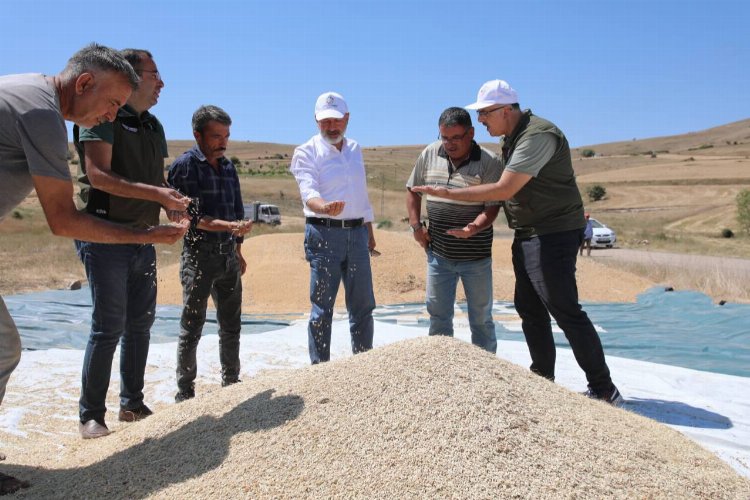 Kayseri Kocasinan’dan tarım hamlesi
