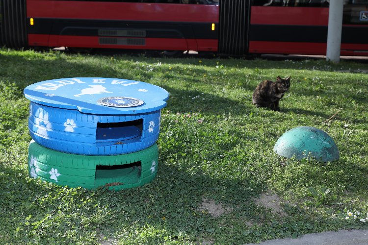 Bursa’da eski lastikler ‘kedi evi’ oldu