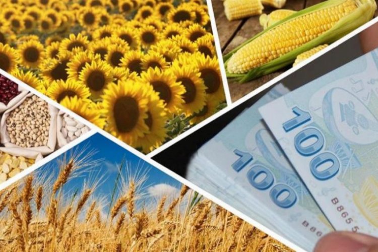 Bakan Kirişci duyurdu… Tarımsal desteğe 87,2 miyon TL bugün hesaplarda