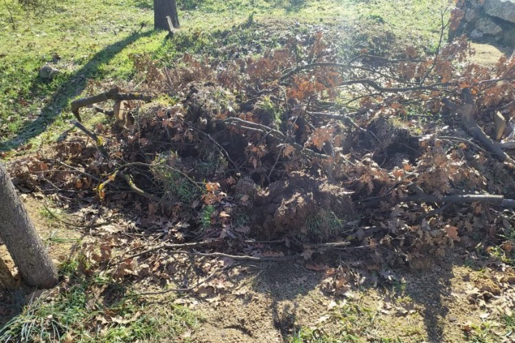 Bursa’da mezarlıkta esrarengiz olay