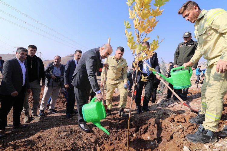 Mardin’de 23 bin 700 fidan toprakla buluştu