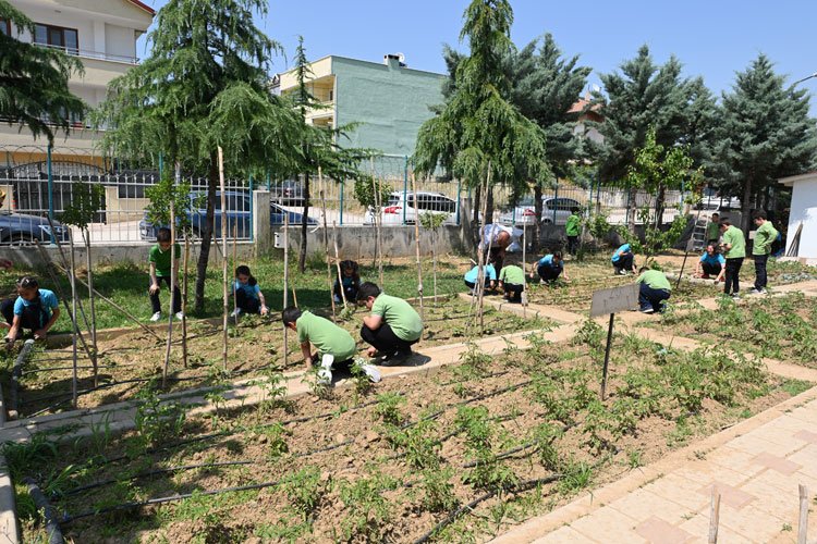 Bursa’da 5 bin öğrenciyle tarıma ilk adım