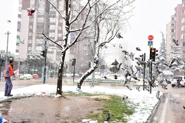 Bursa Yıldırım’da can dostları unutulmadı