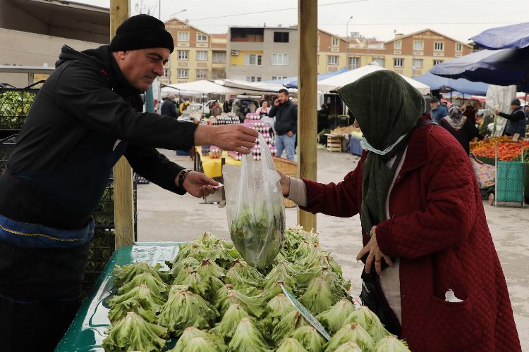 Bursa Gemlik’te ilk hasat marullar satışta