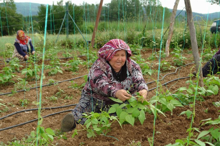 Bilecik Pazaryeri’nde ‘Boncuk Fasulyesi’nde iplikleme mesaisi