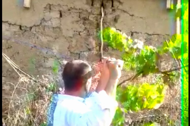 Bursa Yenişehir’de doğaya saygı çağrısı