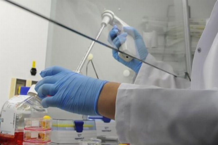 TÜİK açıkladı… Merkezi bütçeden Ar-Ge’ye 20,2 milyar lira