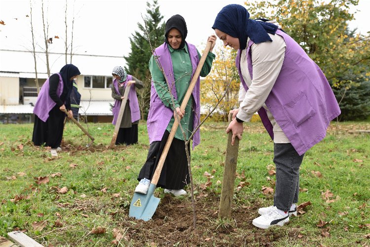 Kocaeli’de Metraco Bizimköy’ü ağaçlandırıyor