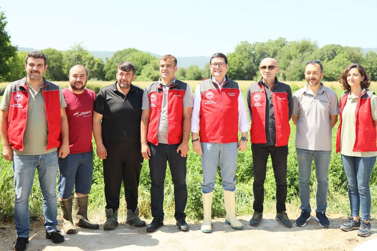 Muğla buzağılarına sahip çıkıyor