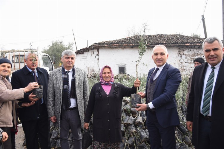 Manisa’da tarım arazisi yanan üreticilere fidan desteği