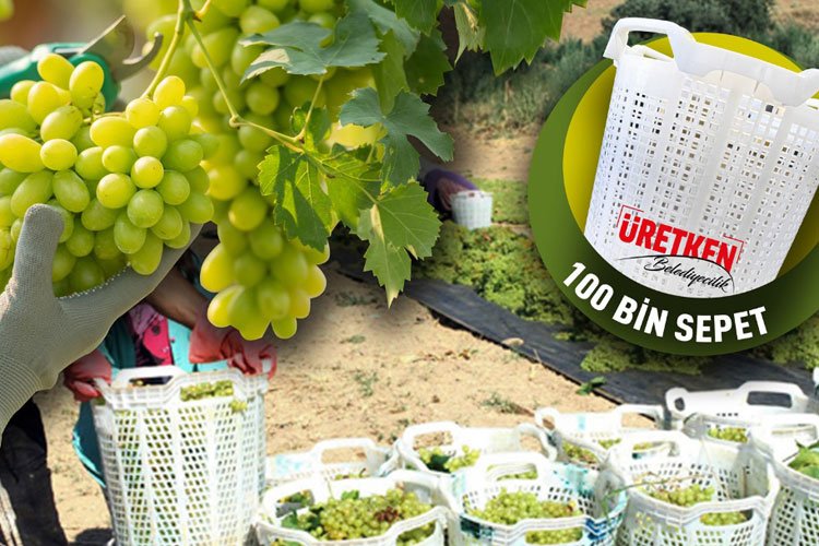 Manisa’da üzüm üreticilerine ‘sepet’ desteği