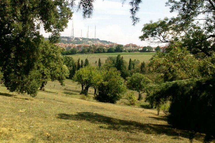 Mahkeme Validebağ’da İstanbul Büyükşehir Belediyesi haklı buldu