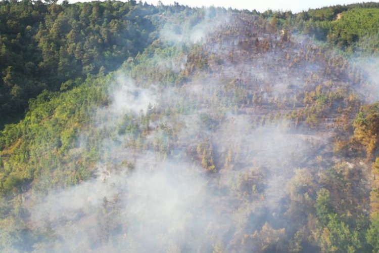 Sakarya Adapazarı’ndaki yangın kontrol altına alındı
