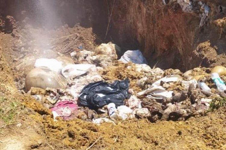 Bursa Mudanya’da karasineğin nedeni ihmal
