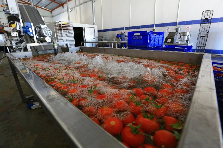 Hem üretici, hem Muğla ‘kurutarak’ kazanıyor