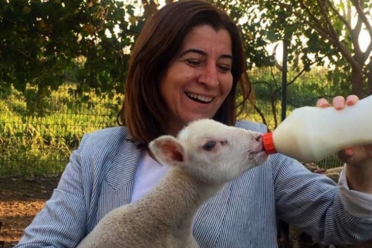 Edirne Milletvekili Aksal ‘köy’ projesini değerlendirdi