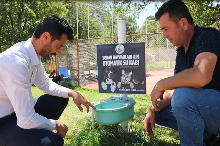 Sivas’ta sokak hayvanlarına otomatik sulama