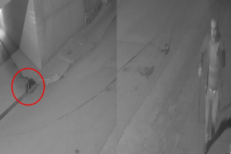 Bursa Gemlik’te mazgal hırsızları kameraya yakalandı