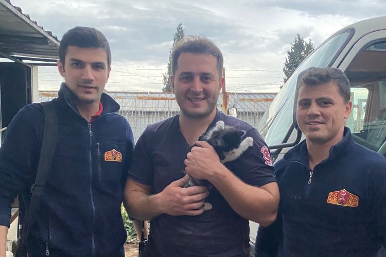 Kocaeli’de duvara sıkışan yavru kediyi itfaiye kurtardı
