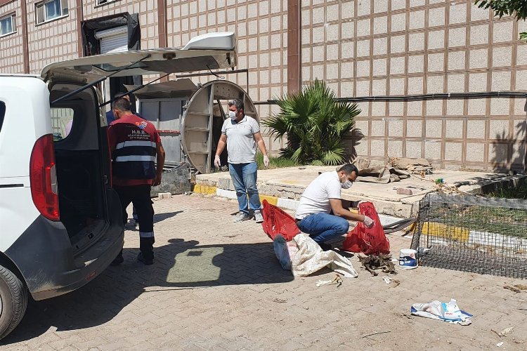Hatay’da katledilen köpeklerle ilgili Büyükşehir’den suç duyurusu
