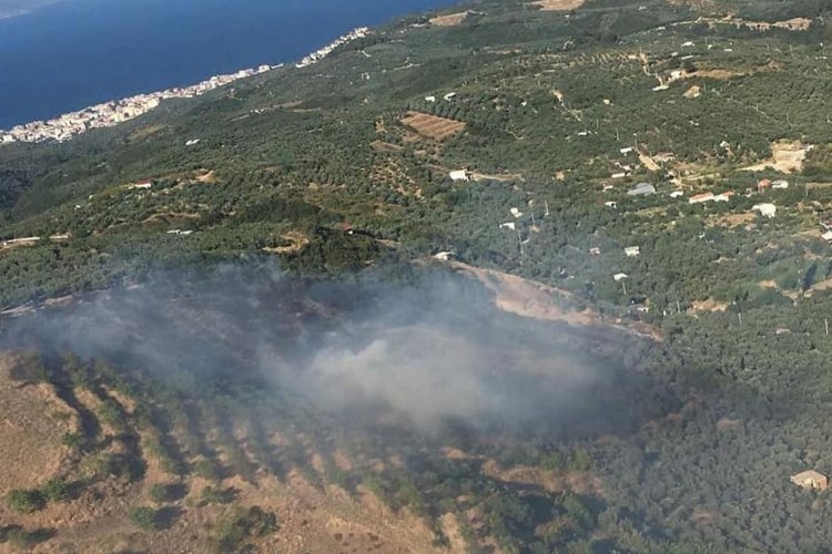 Bursa Mudanya’nın Çepni kırsalında orman yangını