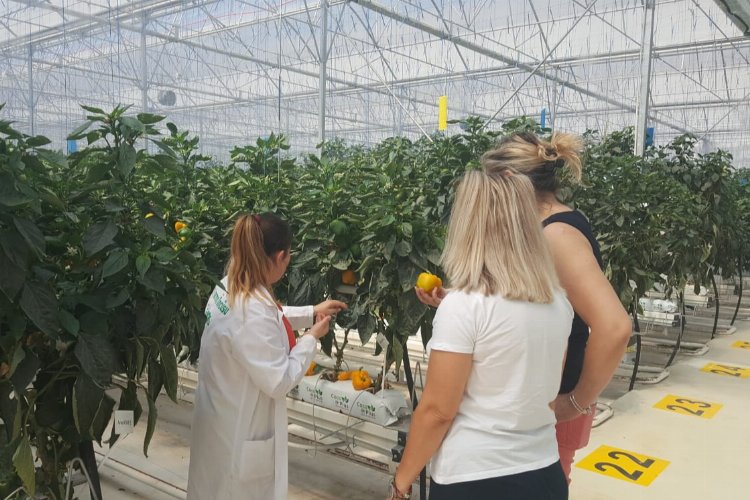 Bursa’da 45 çeşit üründe ‘iyi tarım’ denetimi