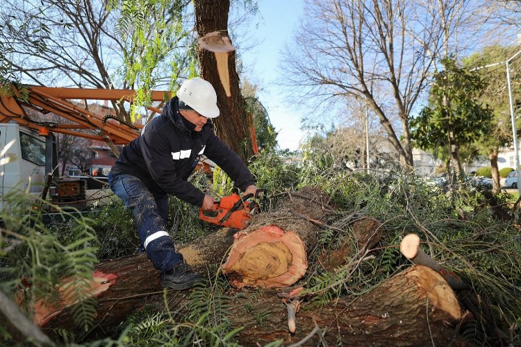 İzmir Gaziemir’de atık dallar evleri ısıtacak