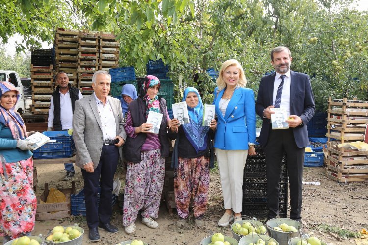 Bursa Gürsu’da gazeteciler kadınlarla birlikte armut topladılar