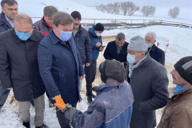 Aksaray’da ağılın çatısı çöktü! 30 koyun telef oldu!