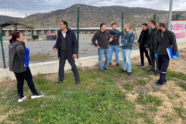 Kütahya’da sokak hayvanlarına belediye şefkati