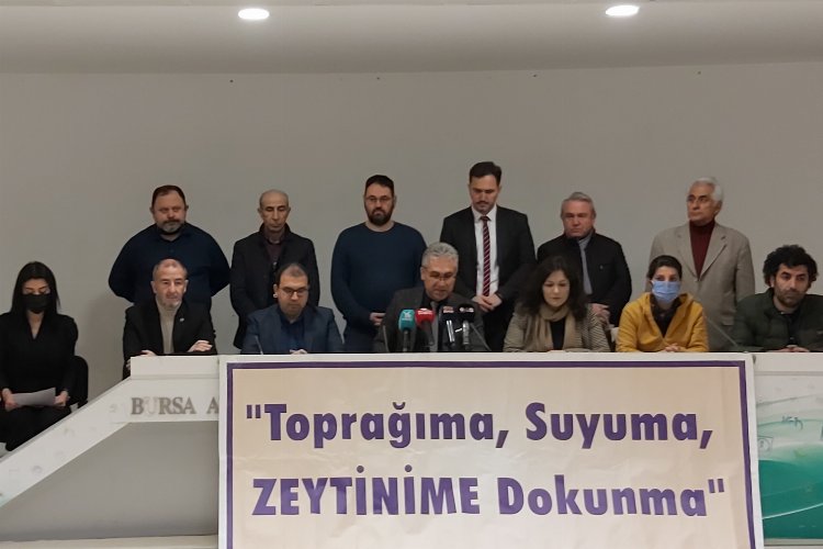 Bursa’dan ‘zeytinlik alanların talanına’ akademik tepki