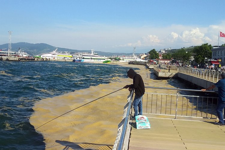 Marmara’daki kıyı illerini ilgilendiriyor… 6 ayda planlayıp, 3 yılda kuracaklar