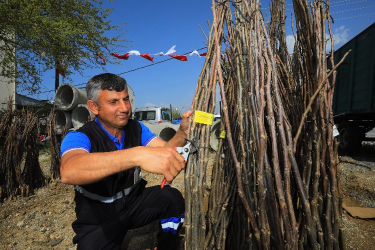 Muğla Fethiye’deki kırsal kalkınma projeleri devam ediyor