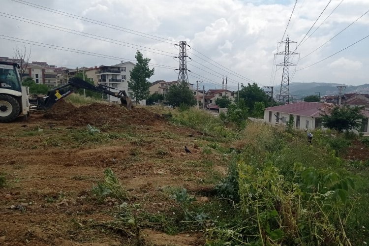 Kocaeli İzmit’te atık yağlar fidana dönüşecek