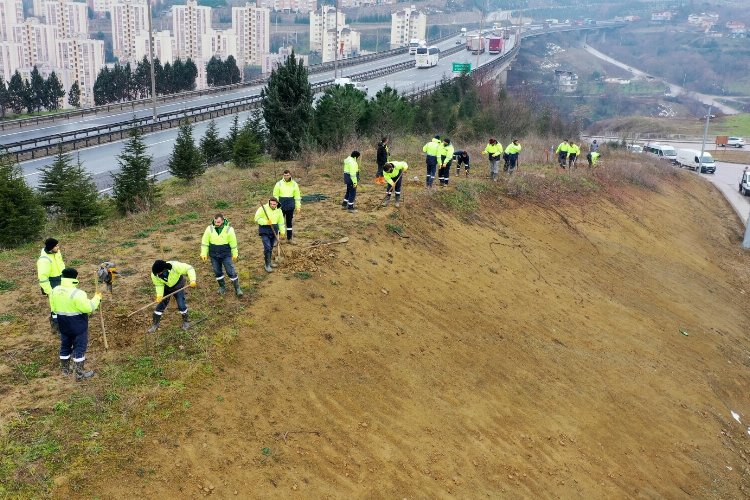 Kocaeli Şehir Hastanesi’nde yolunda çevre düzenlemesi